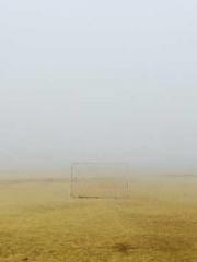 One Night Marriage P