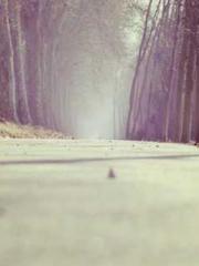 lt;gt;The son of a w