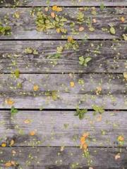 My rewards double au