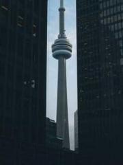 Rebirth of the Urban