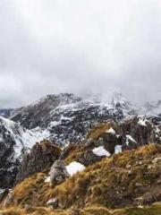 Jiang Mingzhu Zhou L