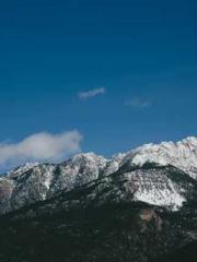 One Pregnancy, Two B