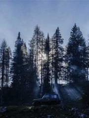 Transmigration: Feel
