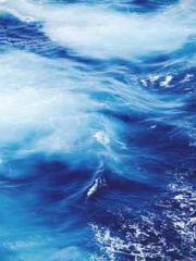 Lin Feng Lin Yun Yao