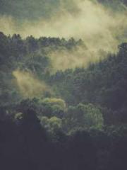 My pets are all amaz