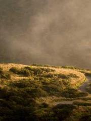 Yet, I became a powe