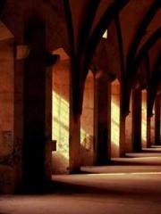 One Night of Indulge