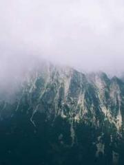 The Realm of the Dao