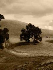 Super Dimensional Me