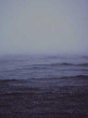 lt;Diga: From Jetton