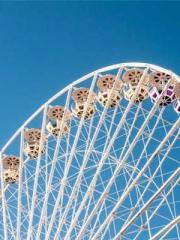 My stunning aunt lt;