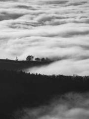 Bodhisattva of Compa