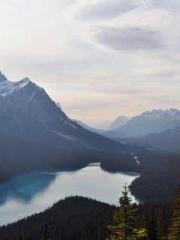 lt;lt;lt;Escape to a